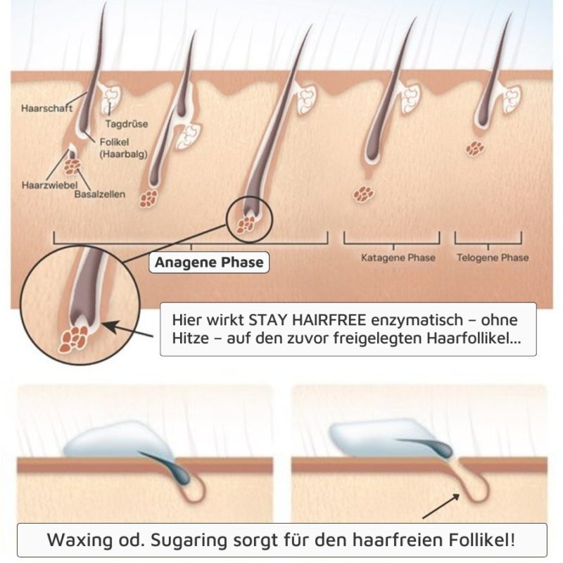 myhairfreeskin Sugaring-Masters